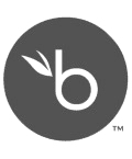 BambooHR icon